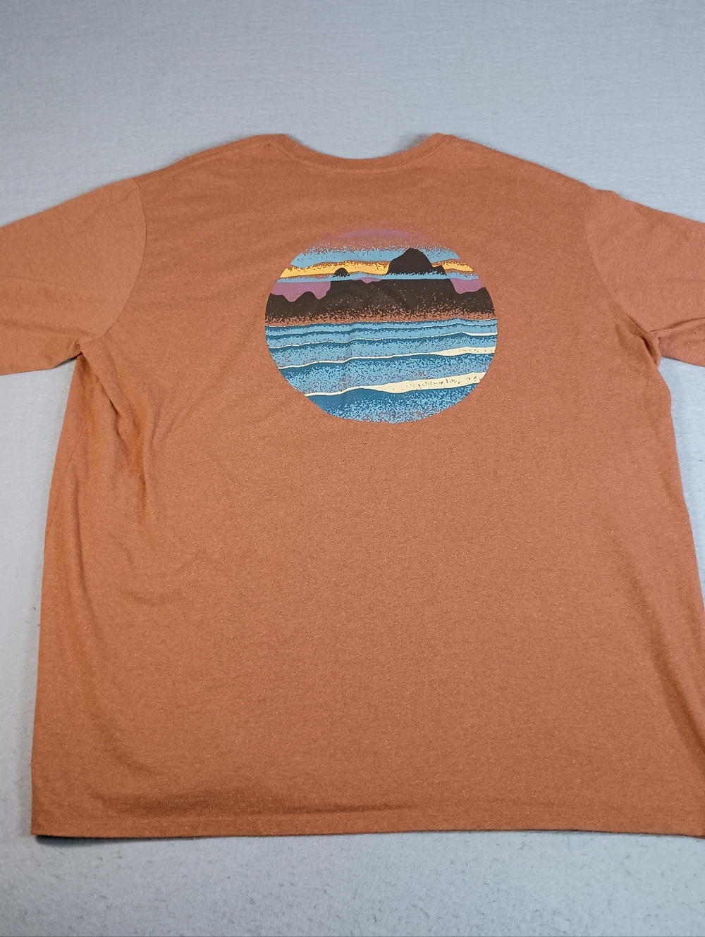 Patagonia Skyline Stencil Responsibili-Tee Shirt Sz XXL Brown Outdoor Crew Neck